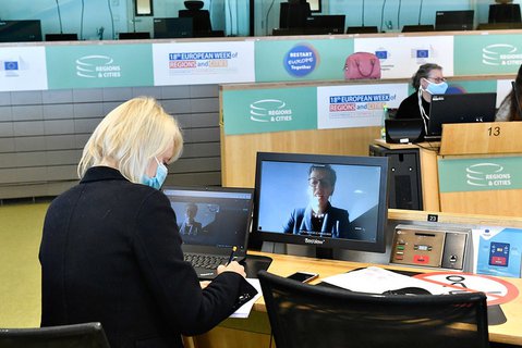 The role of the SDGs in the crisis recovery