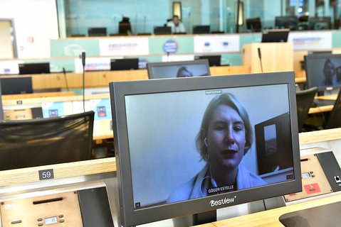 The role of the SDGs in the crisis recovery